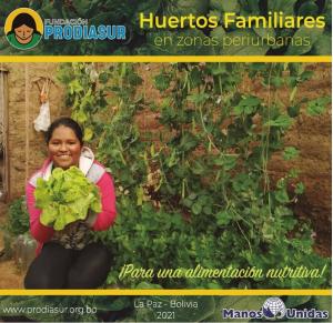 Huertos Familiares en zonas periurb-0