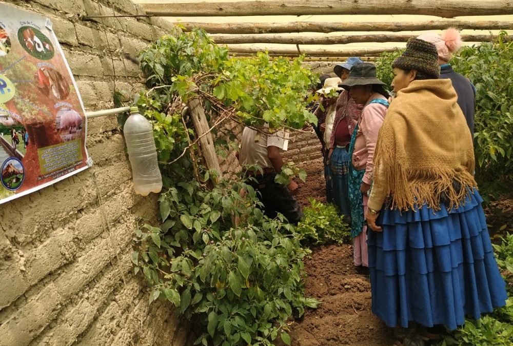 INTERCAMBIO DE EXPERIENCIAS EN HUERTOS PERI URBANOS PRODIASUR CISEP