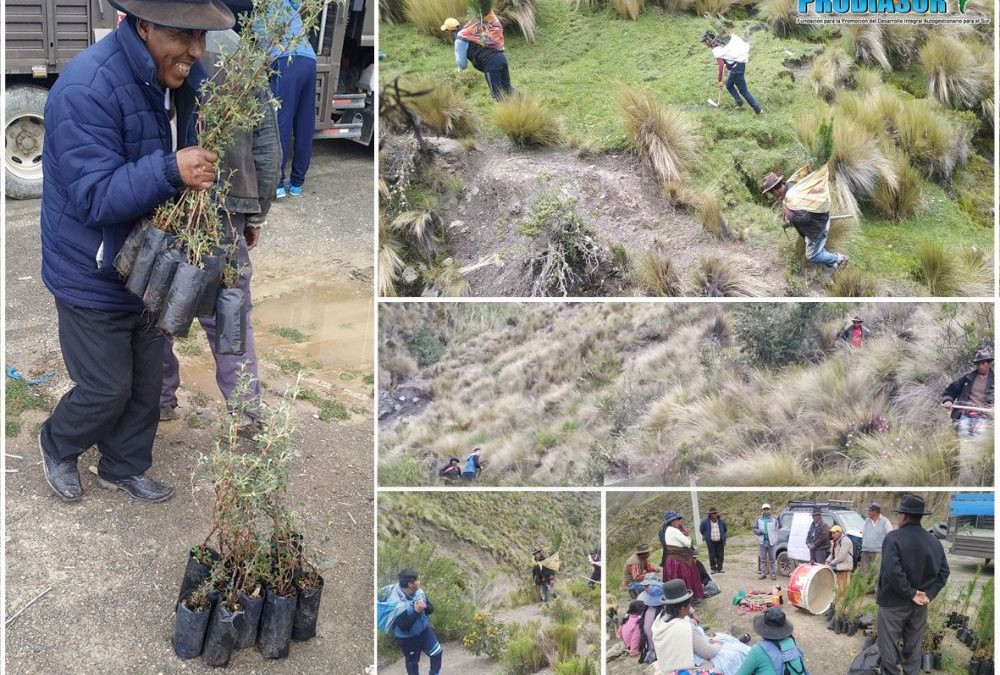 CUIDANDO LAS VERTIENTESDE AGUA EN LA COMUNIDAD CHIARAQUI