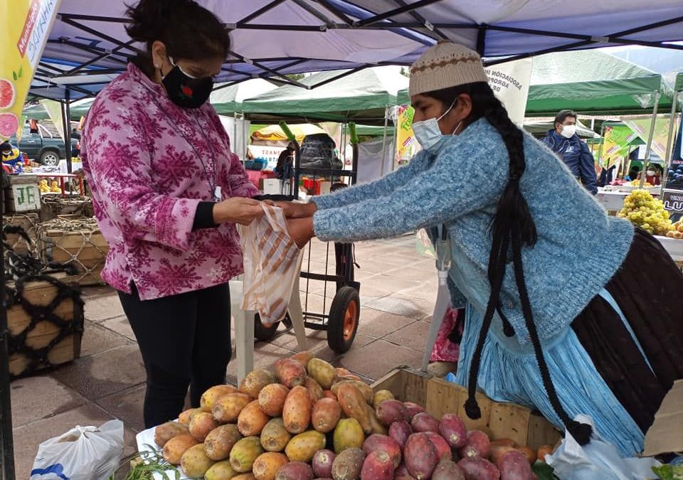 3RA VERSIÓN DE LA FERIA DE FRUTAS