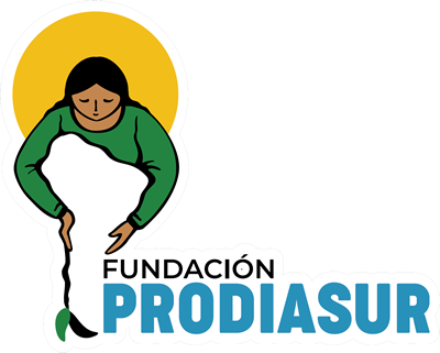 prodiasur-logo