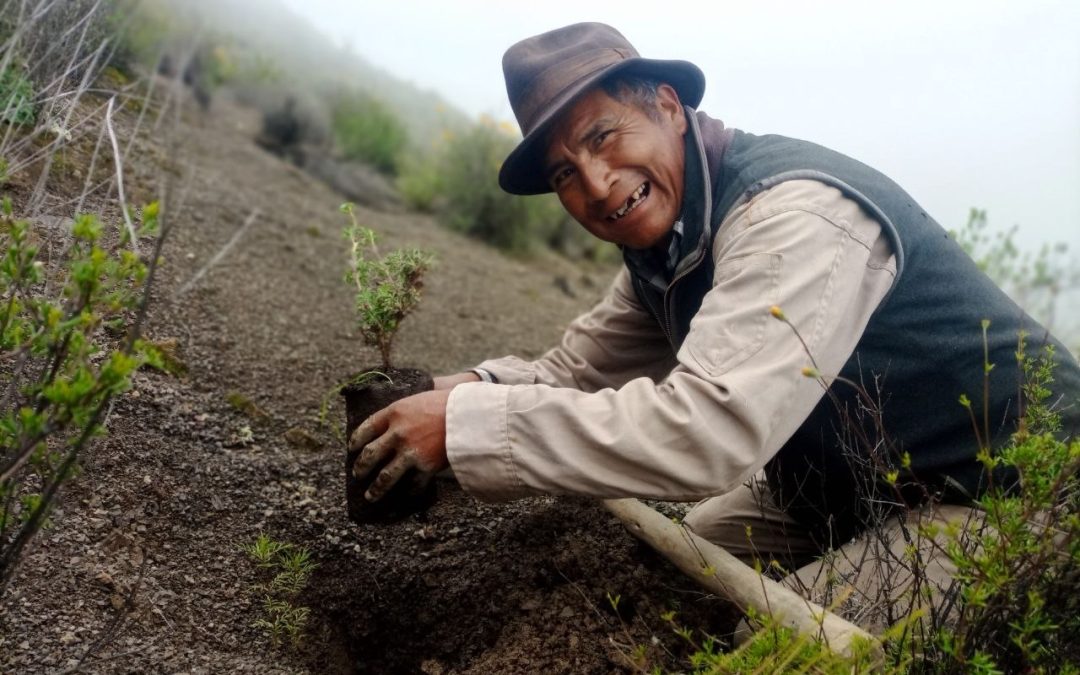 CAMPAÑAS DE PROTECCIÓN DE FUENTES DE AGUA EN COMUNIDADES DEL MUNICIPIO DE SAPAHAQUI