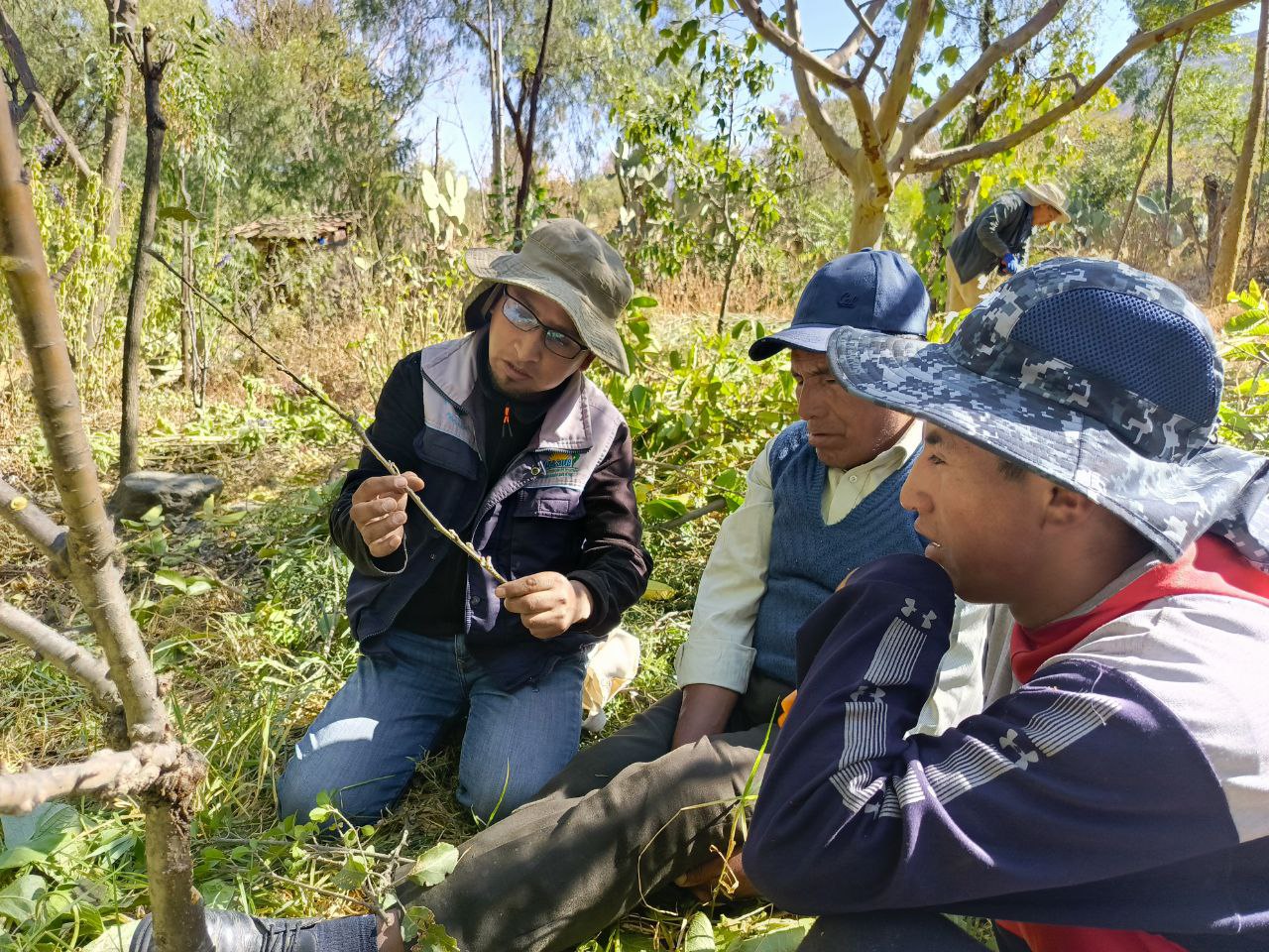 PROMOVIENDO LA AGROFORESTERÍA ANDINA